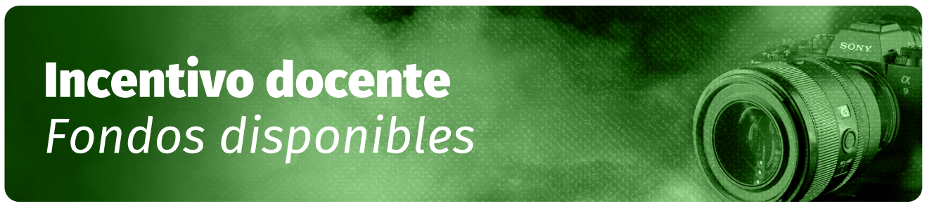 Incentivo docente